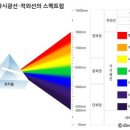 미국 54도 폭염 인증샷 , 피부 뚫는 느낌 이미지