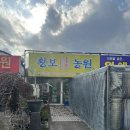 다온농원 | W8. 상견례 선물 (서양난 + 창억떡) + 상견례 비금계절한정식