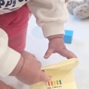 글로벌수어린이집 | <더트웰브 토들러칫솔> 아기칫솔교체주기 어린이집 칫솔추천