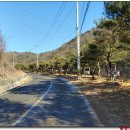 유희원 효자문 이미지