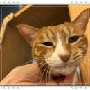 아이조아요양보호소 안양점 이미지