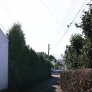 안심여관 이미지