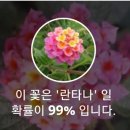 단물식당 이미지