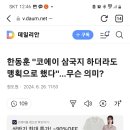 한동훈 "코에이 삼국지 하더라도 맹획으로 했다"…무슨 의미? 이미지