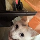 힐리언스 | 홍천 디지털 디톡스하는 힐리언스 선마을 후기