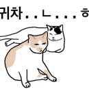 맛깔식당 이미지