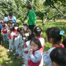 리틀영재어린이집 이미지