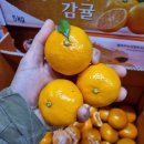아삭601