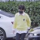 화사하다 이미지