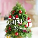 Merry Christmas 이미지 이미지