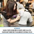 한국동물실용전문학교 이미지