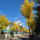 구갈로28번길 이미지