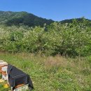 상기축산 이미지