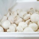 금백농장 이미지