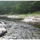 법수치통나무산장 이미지