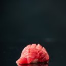 골드참치 이미지