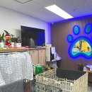 르네펫살롱 이미지