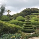 해금강보이지 이미지