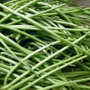 순만농장 이미지