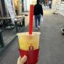 11월 기록
