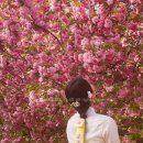 신월동129 | 창원 웨딩촬영 대여 한복 후기 : 한빔한복 &amp; 메리앤부띠끄