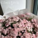 로즈버드플라워 이미지