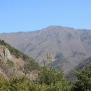 기룡산정상 이미지