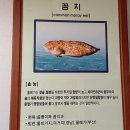 초시토속식당 이미지