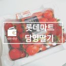 [내돈내산]롯데마트 황금당도&#39;담양딸기🍓&#39;/딸기 고르는 법