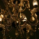 멍멍미용실 이미지