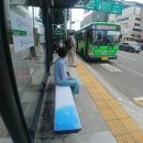 서초 이미지