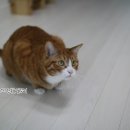 놀아줘 - 영등포구 선유동1로 6-7 | 놀아줘