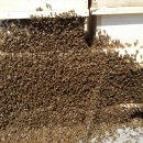 덕수농장 이미지