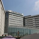 서울대학교병원 Daum카페