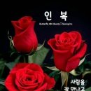 RE:♥1월20일 토요일 발산역 샤브샤브무한리필 오후4시간 이미지