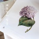 대평축사 | 제주살이 일상 | 서귀포 카페/맛집, 제주도 볼거리 (수국/동물)