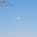 아침달 네이버블로그