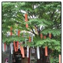 이옥윤 | 열정 &amp; 인연 전시회를 마치고