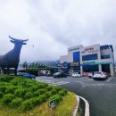 청도축산농협 축산물프라자 이미지