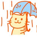 김미경동물병원