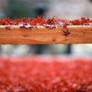 그리울