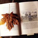 스마트폰활용 이미지