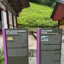 보덕사극락보전 | 영월 절 사찰 가볼만한 곳 보덕사