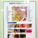 기분 좋은 날 천연 염색방