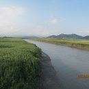 갈대이야기 이미지