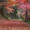 공적비 | 나주 "다보사" : 단풍이 아름다운 사찰....