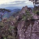 경찰서(원마트 앞) 이미지