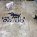 멍냥멍냥 미용실 이미지