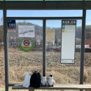 선율어린이집 | [파주 여행] 파주의 재미를 즐겨, 봄: Aat, 우농 타조 농장, 교하 중앙 공원