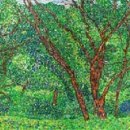 피어나는 생명 이미지